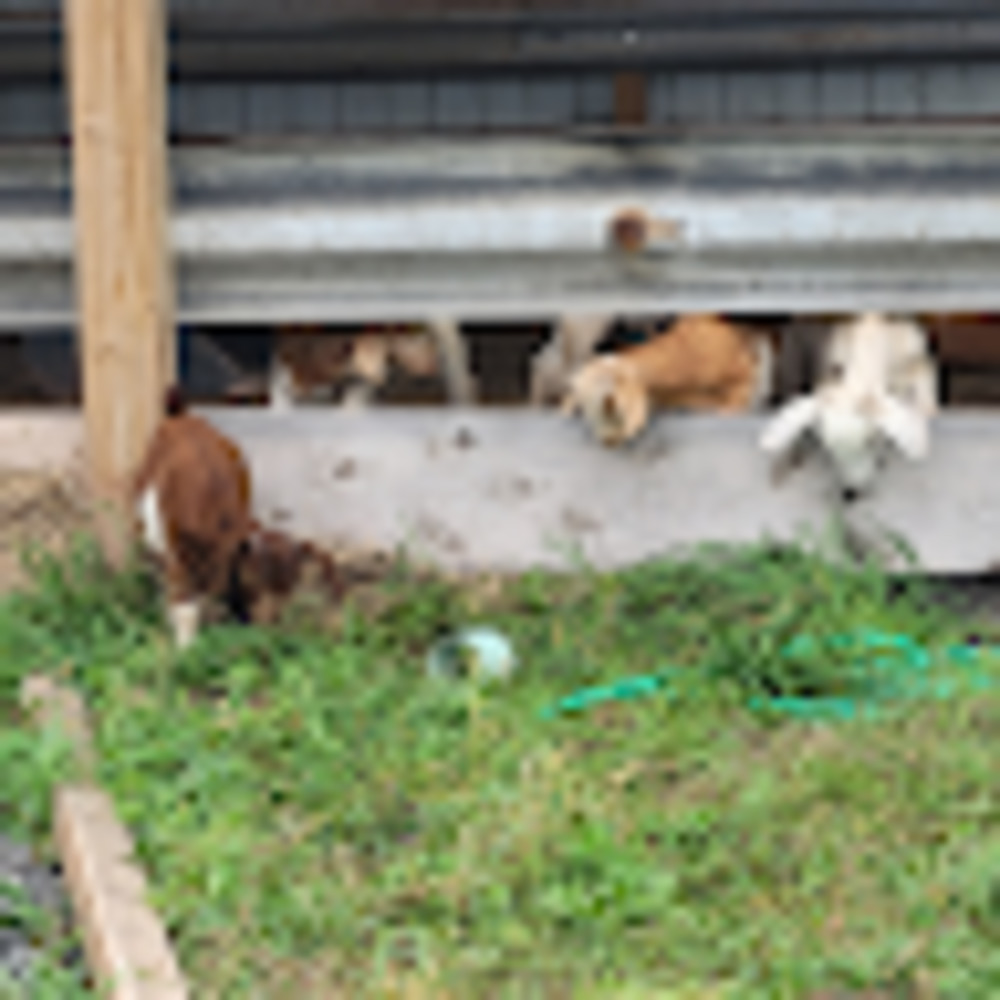 Meet your Posher, Sandra